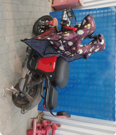 绿源电动自行车,20年11月份购入,现在由...