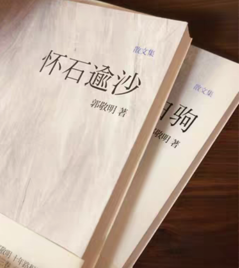 郭敬明全套散文 怀石逾沙 愿风裁尘 守岁白...