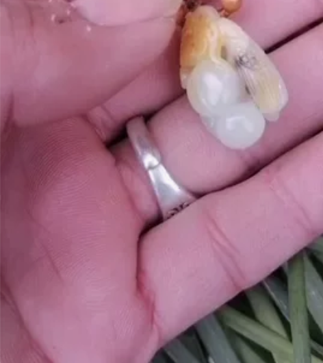 和田籽玉，黄白种，独籽雕刻真皮真色假了奉送...