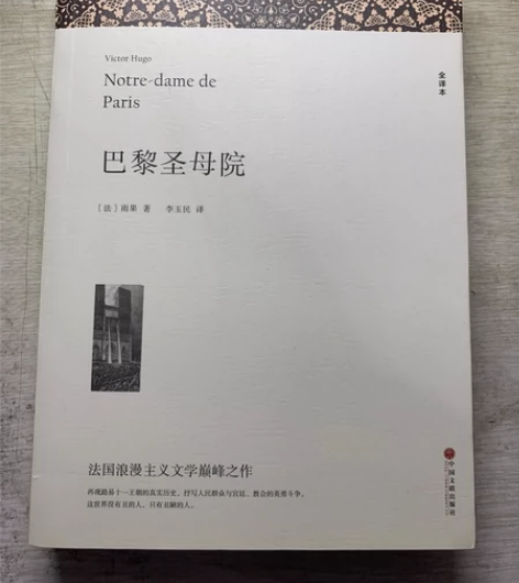 《巴黎圣母院》九成新，学校要求买的一次没读...