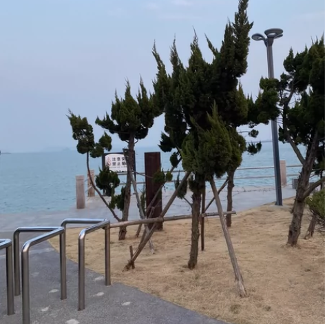 青岛英语辅书 小初高中英语、小学数学 高考...