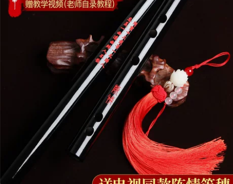 笛子竹笛初学精制乐器零基础学生入门古风笛专...