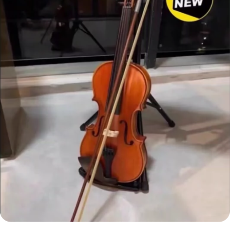 原价3500的小提琴，实木小提琴全新亏本出...