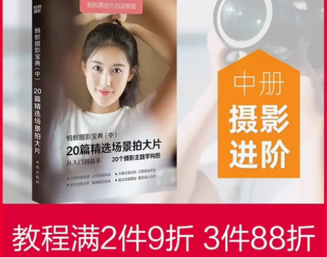 蚂蚁摄影宝典中册 20个精选场景学构图  ...