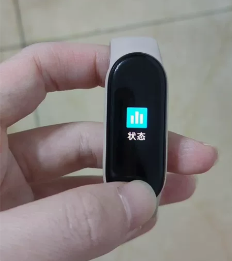 小米手环5NFC版 去年8月购入于淘宝百亿...