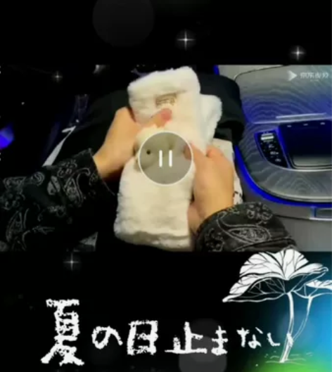 韩版冬季新款可爱小熊毛绒围巾,小熊围巾-白...