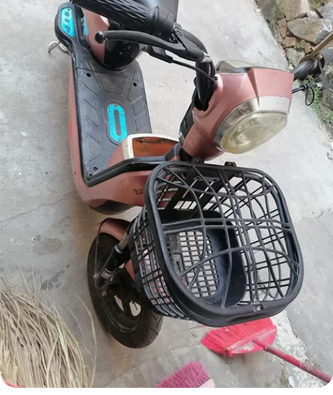 飞鸽电动车 骑几个月 不带电池 车子都正...
