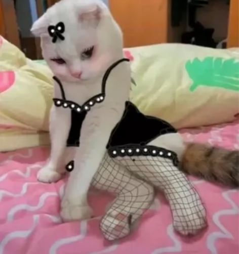 写代码QAQ 老师出的问题，课本上的问题，...