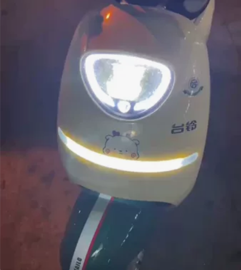 台铃电动车铅酸电池48v20A 自用出 可...