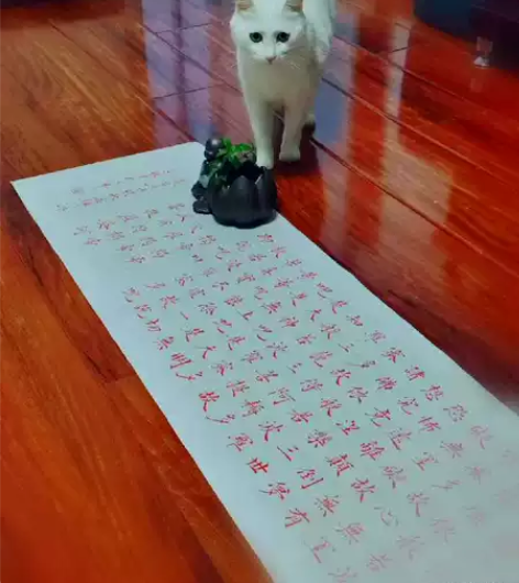 包邮全新本人手写朱墨心经作品，尺寸180*...