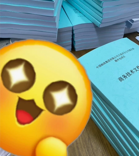 代写标书   全套 投标文件 商务标技术标...