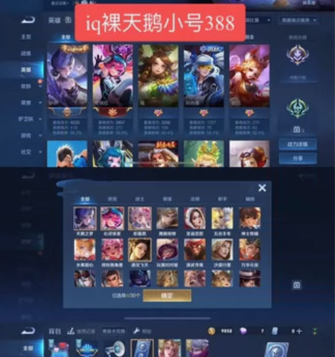 王者荣耀苹果q裸天鹅之梦价格388，支持白...