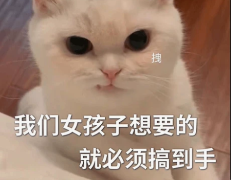 【收】wzry王者荣耀 王昭君星穹之声新皮...