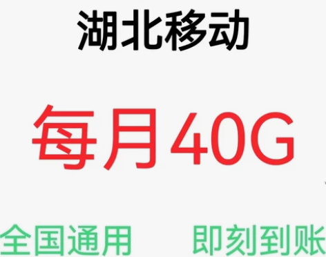 湖北移动流量40g移动流量湖北充值湖北流量...