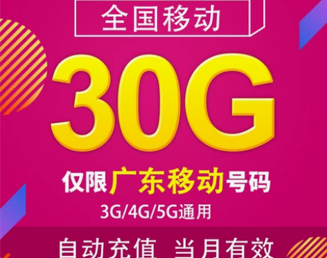移动充值 广东流量30G 特价月包在线秒充