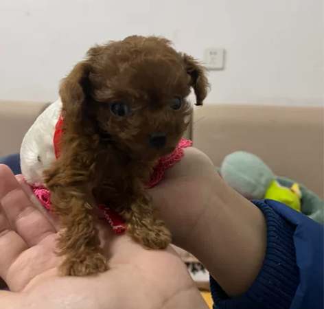 收中石化充值，是冲到易捷加油里，93折诚心...