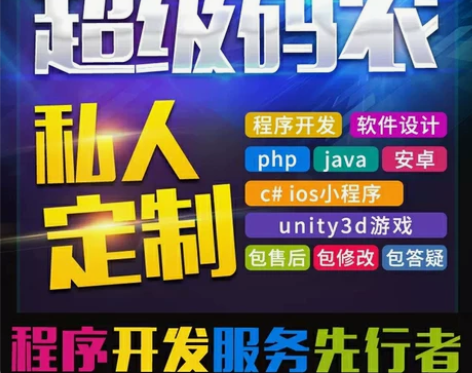 计算机程序设计ASP.NET网站JAVA定...