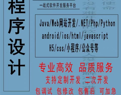 Java定制开发Python c# 修改p...