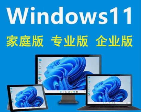 Windows11专业版操作系统,支持远程...