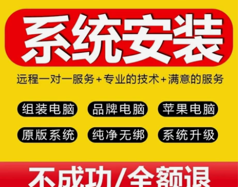 修电脑 远程协助安装系统，系统优化，杀毒，...