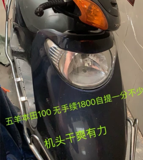 五羊本田100，急用钱，大特价；机头威，干...