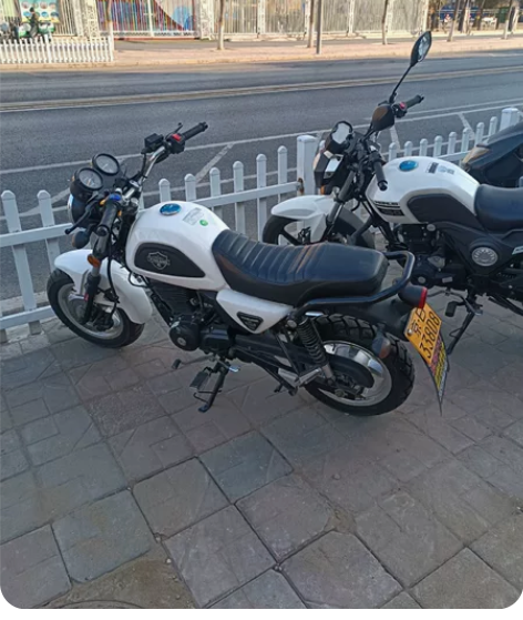 银钢,小迷你,建设TR250,三阳飞度四A...