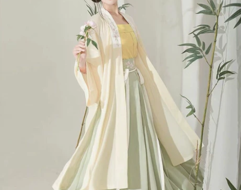 东月棠 清风笺 全新带吊牌 科幻晚明风长衫