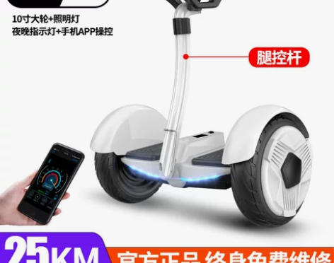 左拉带扶杆电动自平衡车双轮成年学生10寸儿...