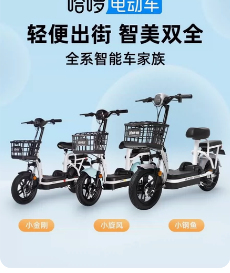 哈啰电动车，买来一年，刚过保 杭州自提，金...