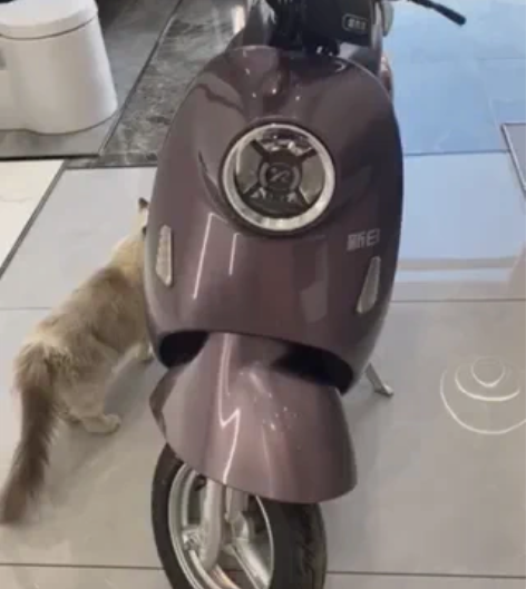可以在家里充电的日新日锂电池智能电动车,续...