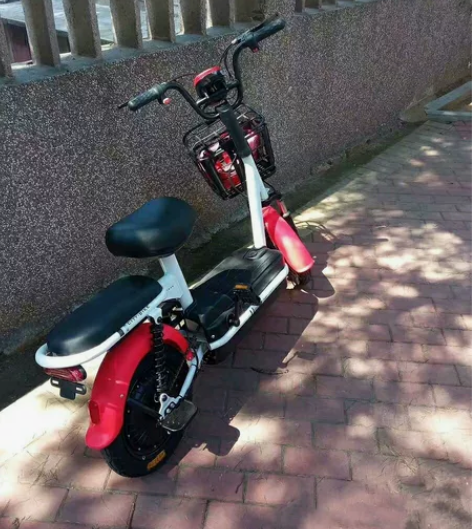 【低价出售】全新电动车几百元包邮到家新国标...