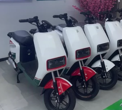 绿源电动车48V20A锂电#电动车电池 #...