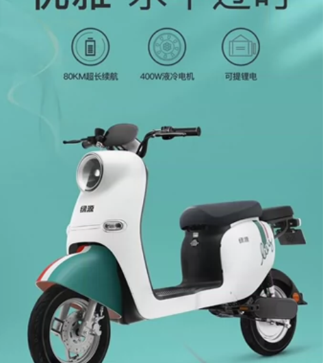 绿源电动车 ZL-宝丽 锂电48V24AH...