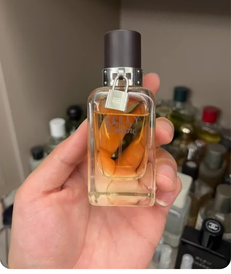 爱马仕凯莉驿马车。 皮革代表作，香评8.6...