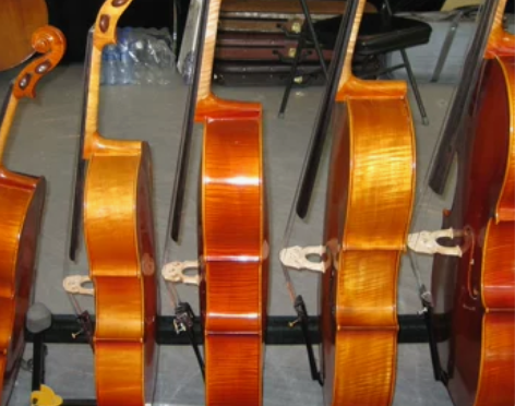 出租大提琴出租小提琴出租二胡出租琵琶出租吉...