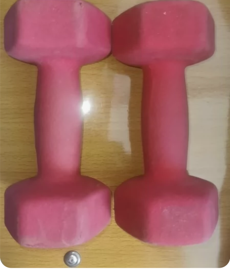 出哑铃一对儿,买完一直在柜子里放着,因搬家...