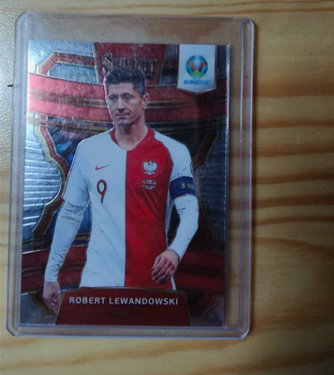 PANINI2020欧洲杯select 波...