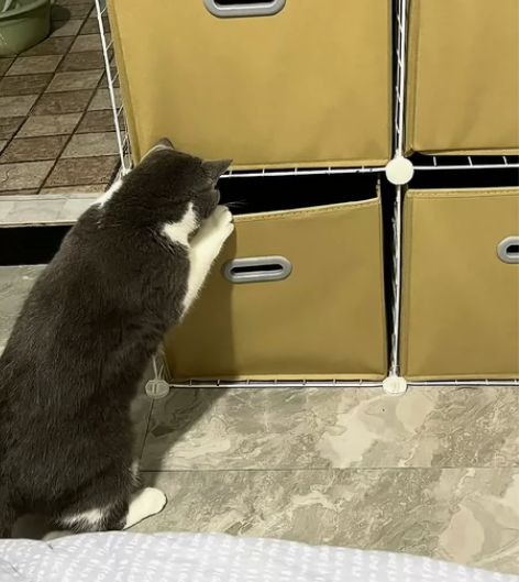 全新加厚加盖子升级可折叠收纳盒，分类收纳小...