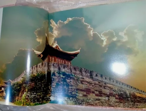 红色油画一册，湖南茶陵，官方正版，近全新 ...