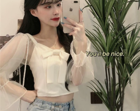 网纱长袖衬衣 ，全新 ，两穿。 一衣两穿，...