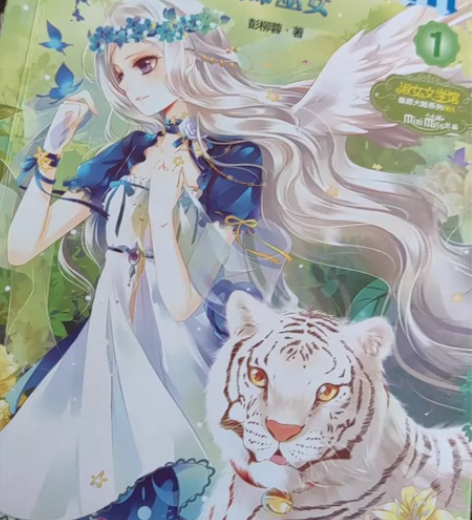 星愿大陆手中共四本（1234） 中国女生文...