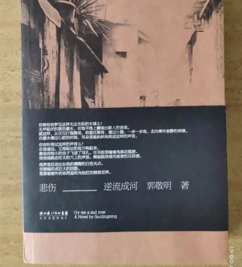 郭敬明《悲伤逆流成河》，全新，正版，半价，...