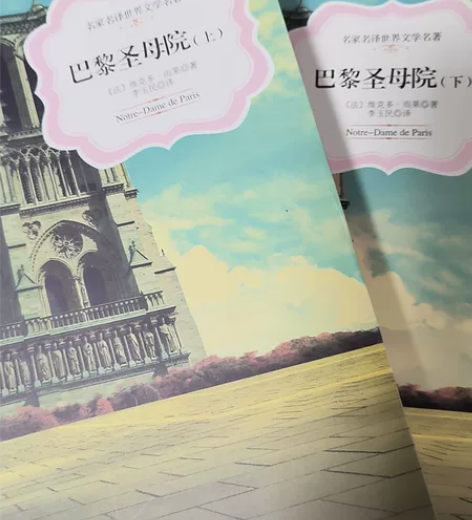 《巴黎圣母院》名家名译世界文学名著全新上下...