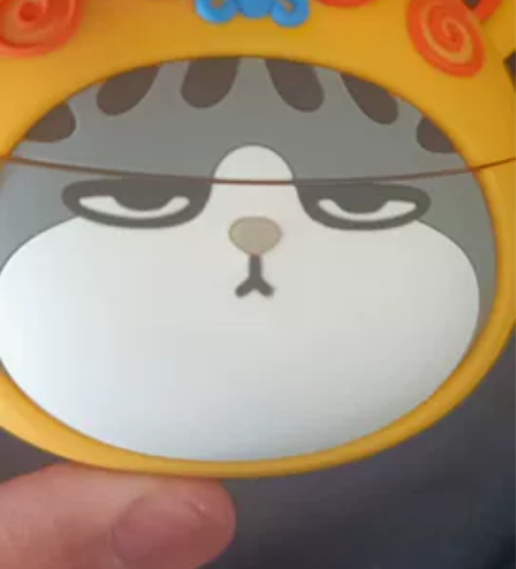 OPPO Enco Air2 Pro吾皇猫...