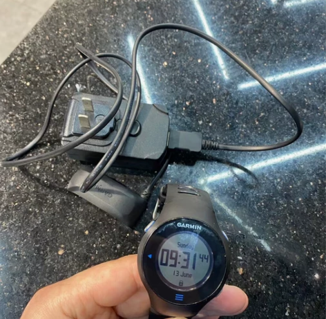 Garmin/佳明Forerunner61...