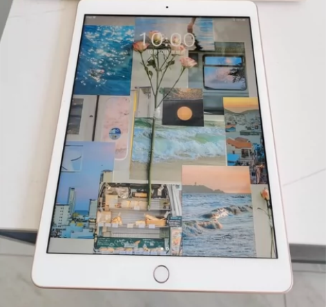 大学生闲置平板ipad2020款128G ...