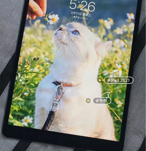 iPad2021 256g wifi插卡...