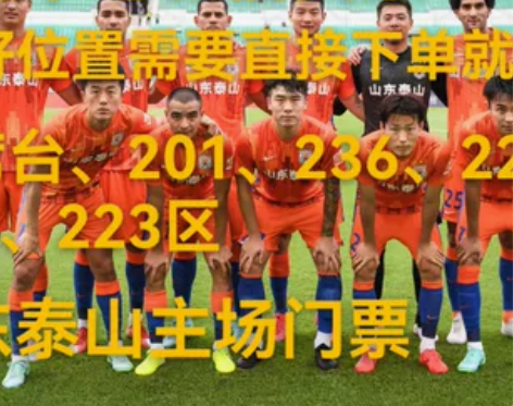 2023赛季中超山东鲁能泰山-山东泰山足球...