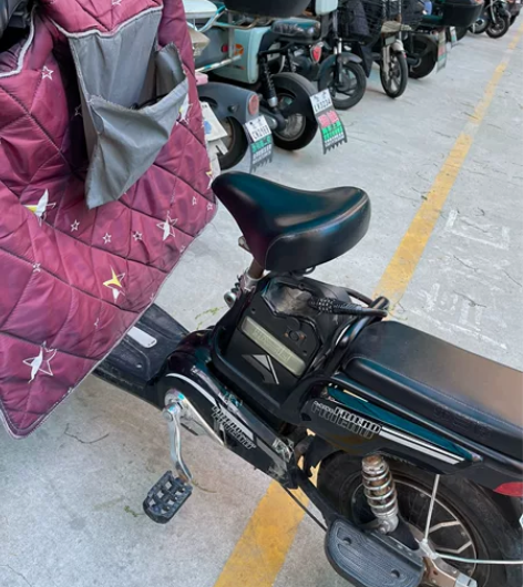飞鸽弗兰德电动车19年12月买的 自用 ...