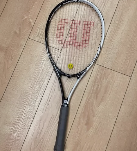 Wilson威尔胜网球拍女大学生男初学者单...